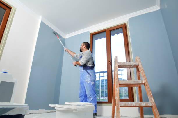 Best Fire-Damaged Drywall Repair  in Dover Beaches North, NJ