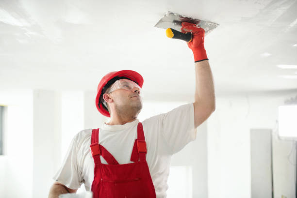 Best Drywall for New Construction  in Dover Beaches North, NJ