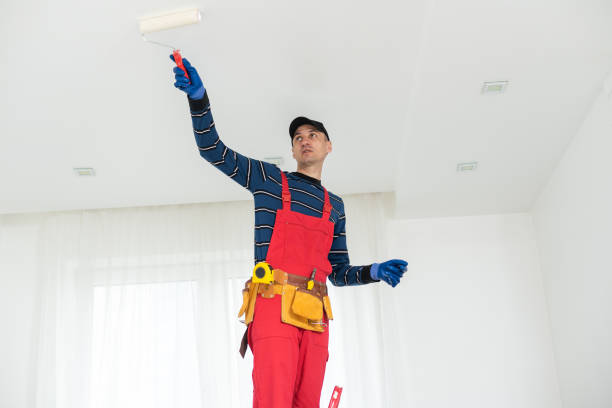 Best Drywall Removal and Disposal  in Dover Beaches North, NJ